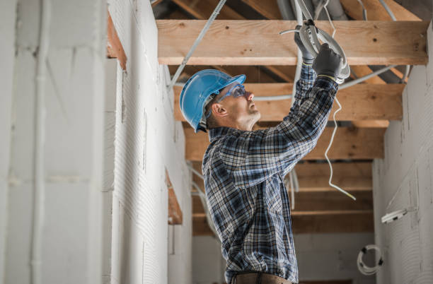 Best Home Electrical Repair  in Grant Park, IL