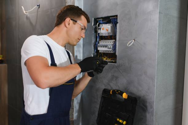 Best Licensed Electrician  in Grant Park, IL