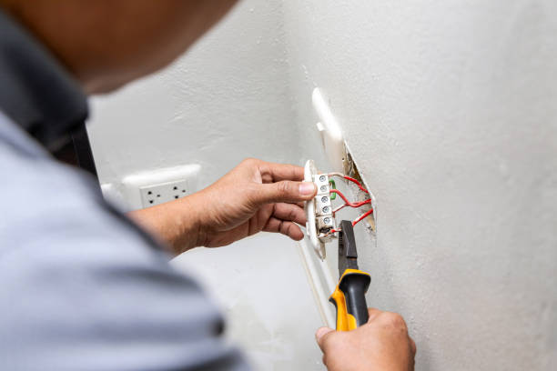 Best Local Electrician Companies  in Grant Park, IL