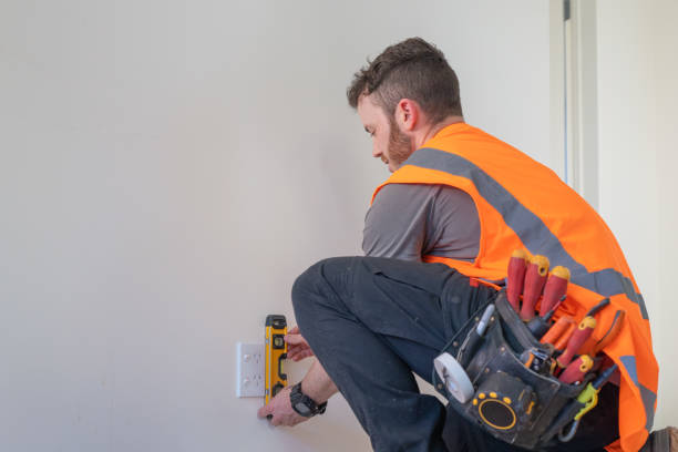 Best Electrical System Inspection  in Grant Park, IL